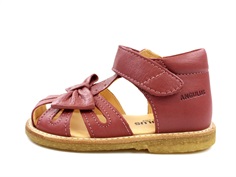 Angulus sandal old rose with bow